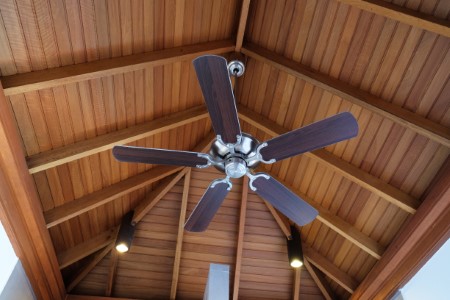 Ceiling fan new